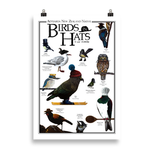 Aotearoa New Zealand Native Birds In Hats - Matte Poster Print