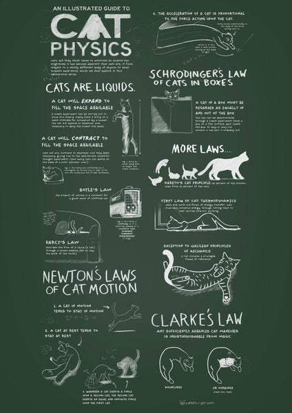 Cat Physics - PDF