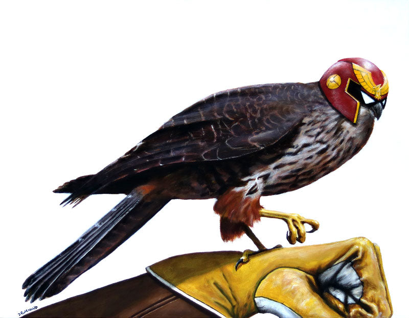 Captain Falcon Falcon - Desktop Wallpaper
