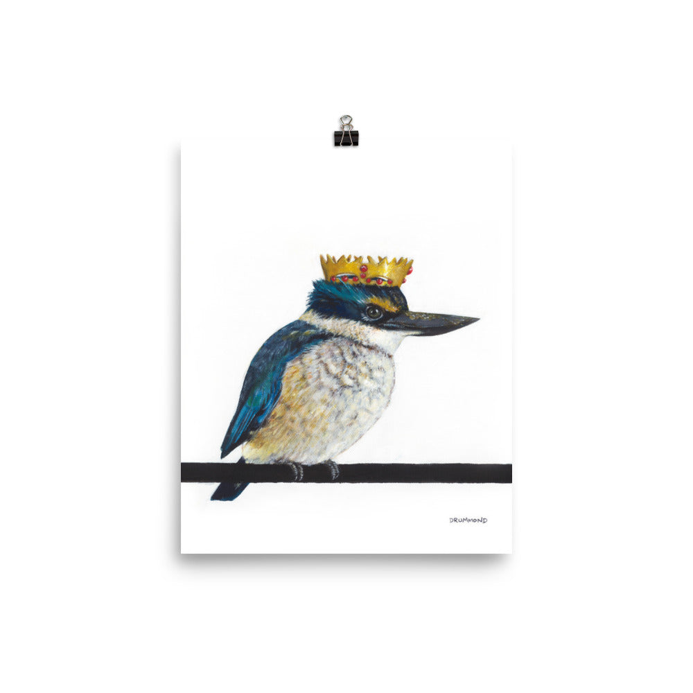 King Fisher - Matte Poster Print
