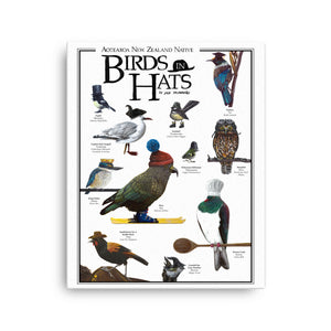 Aotearoa New Zealand Native Birds In Hats - Canvas Print