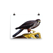 Captain Falcon Falcon (without hat) - Matte Poster Print