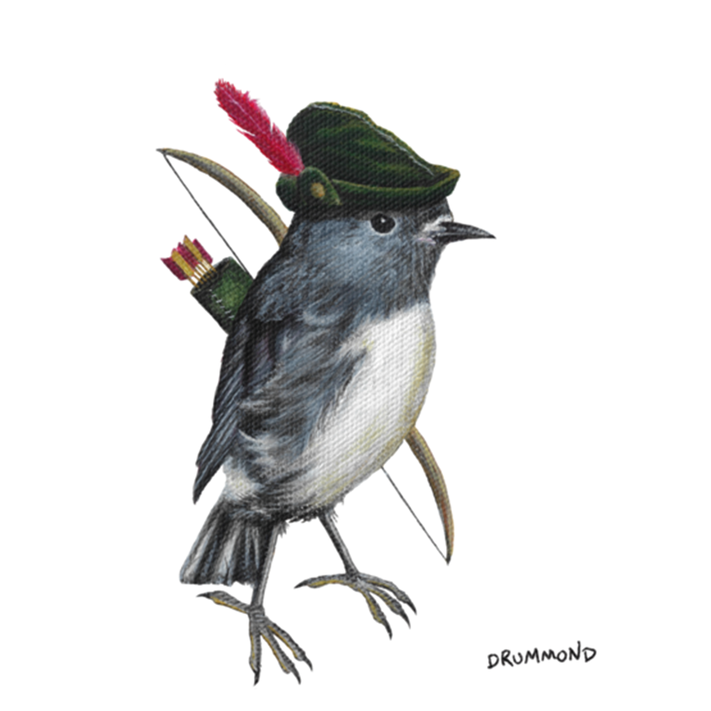Robin Bird Hat 